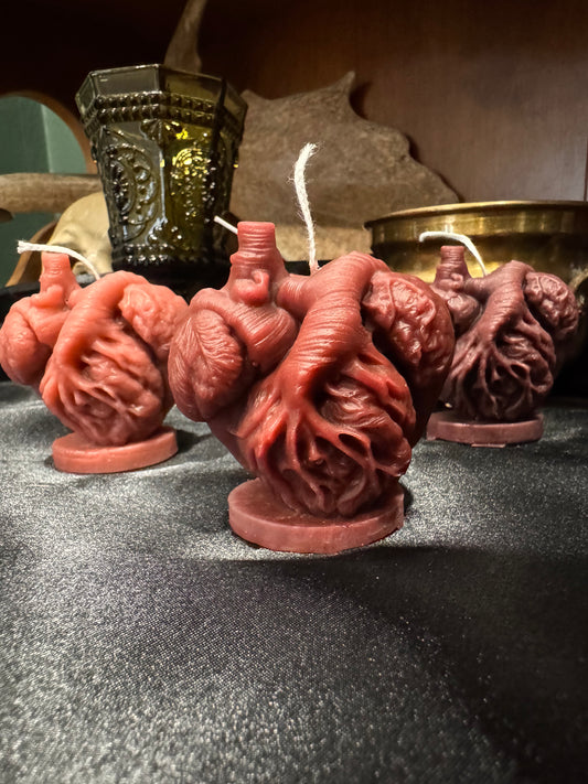 Anatomical Heart Candle