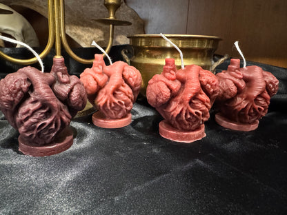 Anatomical Heart Candle